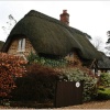 Copse Cottage