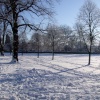 Carleton Green in the snow