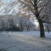 Winter scene