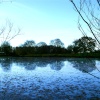 Nidd in winter.