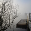 The dock of the lake shrouded in mist