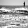 Rough Seas