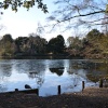 The lake at Elvaston Dec 2010