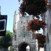 York