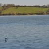 Thornton Reservoir