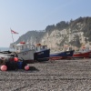 Beer Beach