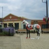 Painted Horses in and around the town of Newmarket