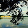 A view across the lake