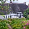 Cottage gardens
