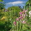 Cottage Gardens