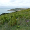 Cliffs