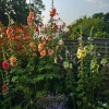 Cottage Gardens