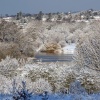 Mote Park lake, Maidstone