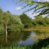 Kingston Maurward, Stinsford.