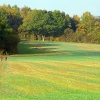 Autumn fields