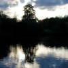 Mote Park reflections
