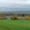 Grounds