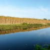 Canal