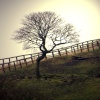 Strinesdale, Oldham