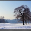 Delapre Park Golf Club