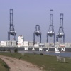 Shotley