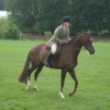 Ripley Show, Aug 2011