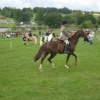 Ripley Show, Aug 2011