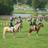 Ripley Show, Aug 2011
