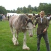 Ripley Show, Aug 2011