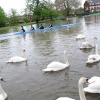Bedford River Scene