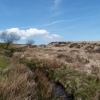 Dartmoor