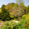 Bath Botanical Gardens