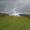 Aberbran, Powys