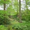 Spinners Garden in Boldre (The New Forest)