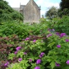 Hidcote Garden