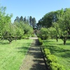 Orchard House Garden