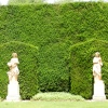 Polesden Lacy June 2011
