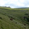 Dartmoor