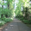 Country Lane