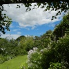 Bodnant Garden, June 2011