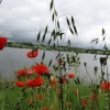 Pitsford