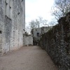 Berry Pomeroy Castle