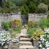 Coleton Fishacre, June 2009