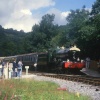 A picture of Llwyfan Cerrig station, ner Bronwydd Arms