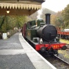 Llwyfan Cerrig Station on The Gwili Railway, near Bronwydd Arms.