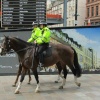 Mounted Police
