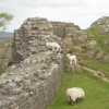Hadrians Wall