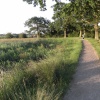 Carlton Marshes