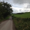 Single lane road leaving Plush, Dorset