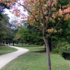 Woodland Gardens, Bushey Park